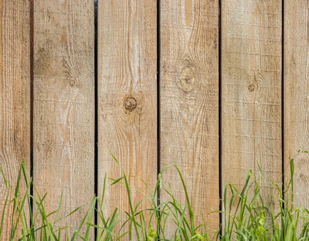 Close-up of wood fence planks with visible wood grain